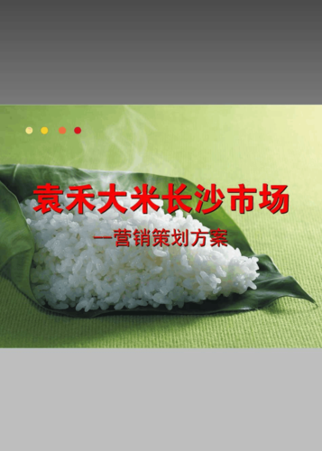 袁禾大米长沙市场营销策划方案
